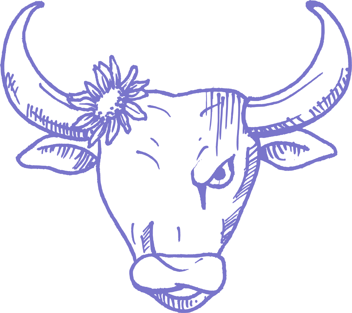 Stier