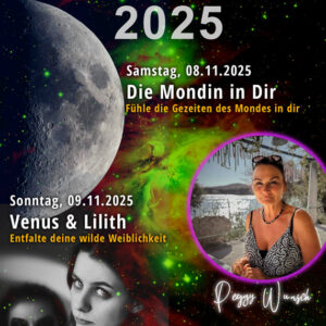 Plakat Atsro Workshop Silberner Stern Oberkirch